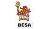 Construction Steel British Steel